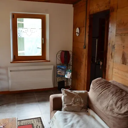 Cosy A Chatel, 6 Pers, A 900m Des Pistes - Fr-1-676-27 * シャテル